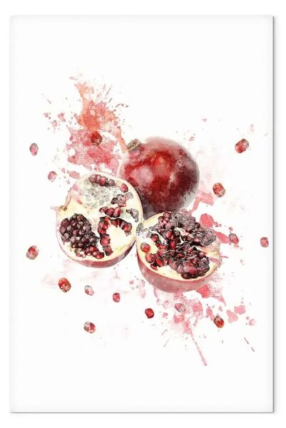 Quadro contemporaneo Melograno - frutti rossi su una macchia di colore ad acquerello