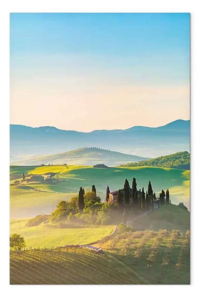 Quadro su tela Paesaggio della Toscana - fotografia di campi verdi all'alba