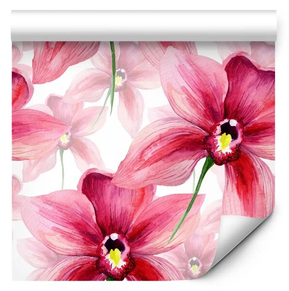 Tappezzerie Fiore acquerellato - orchidea rosa scuro su sfondo bianco