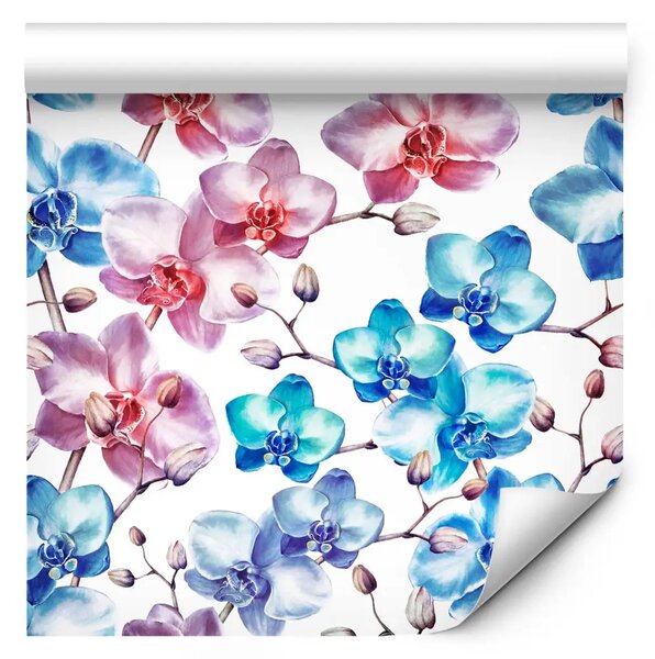 Tappezzerie Bellissima orchidea - fiori rosa e blu su sfondo bianco
