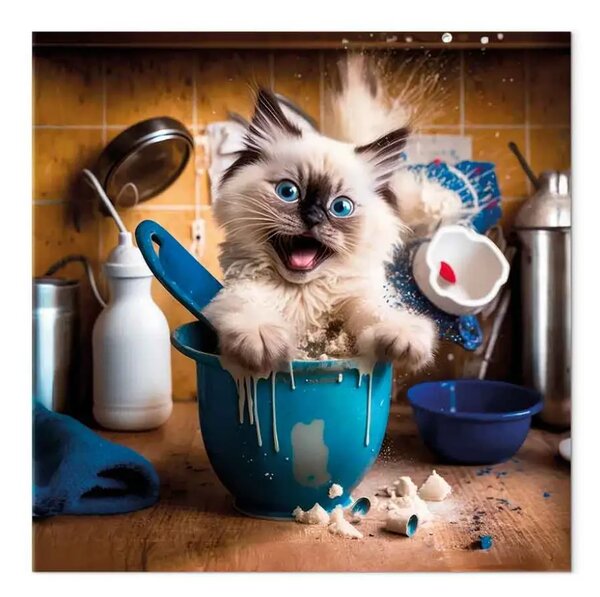 Quadro contemporaneo Gatto AI ragdoll - soffice in cucina, quadrato