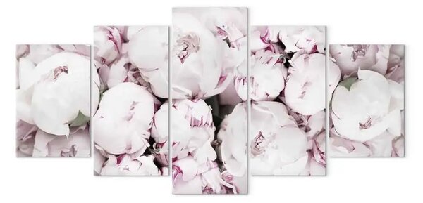 Quadro Il mio giardino di rose (5 pezzi) largo