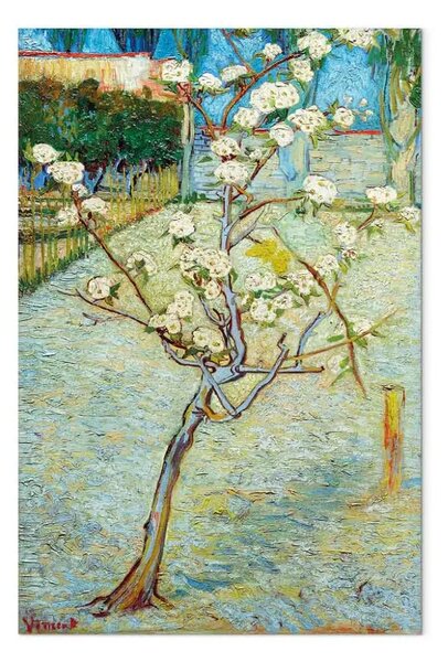Riproduzione quadro Vincent van Gogh - Blossoming Pear Tree