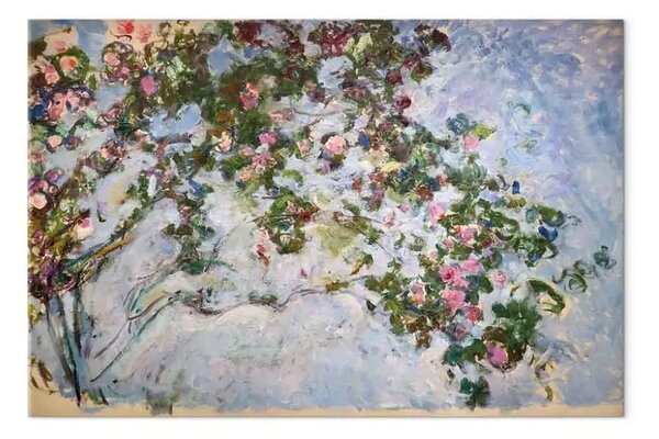 Riproduzione quadro Claude Monet - Les Roses