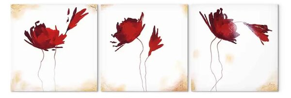 Quadro moderno Papavero rosso etereo