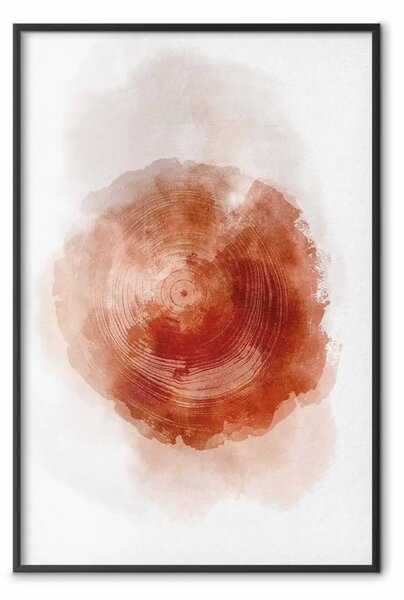 Poster: Struttura dell’albero - acquerello della sezione di un tronco in tonalità marrone su sfondo chiaro