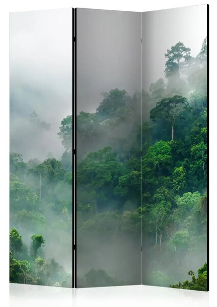 Paravento separè Nebbia mattutina - una foresta con alberi in uno scatto maestoso