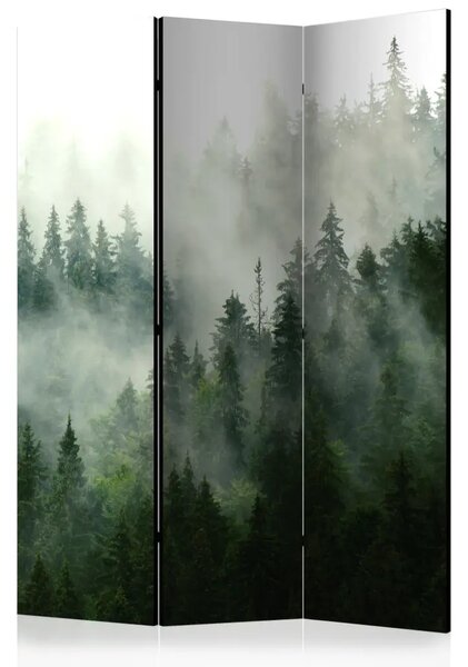 Paravento design Foresta di conifere - paesaggio montano con alberi durante la nebbia