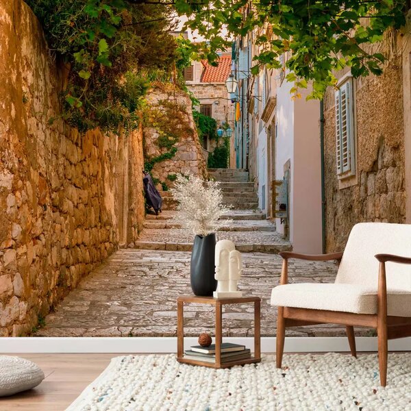 Carta da parati Una strada affascinante di Dubrovnik - via vecchia con case