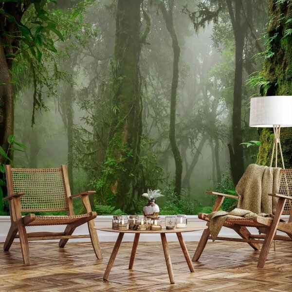 Carta da parati moderna Giungla in Nepal - foresta tropicale con vegetazione verde e nebbia