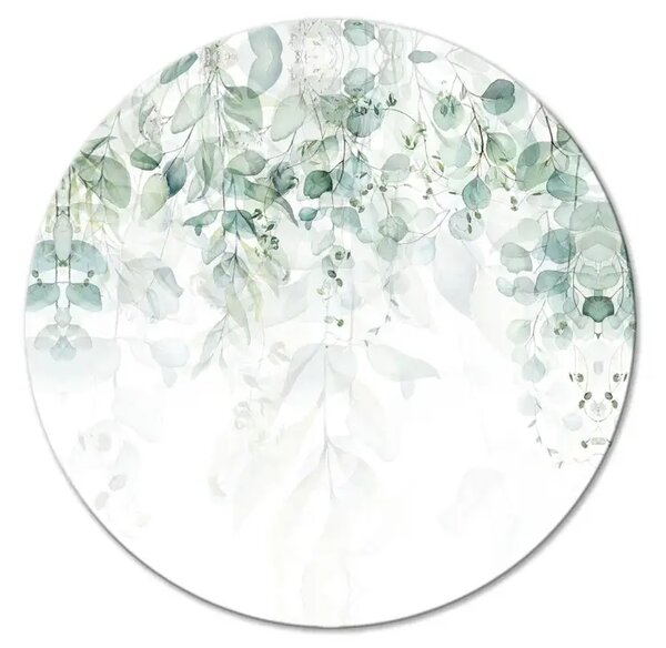 Quadro rotondo Cascata di verde - delicati rami pieni di foglie su sfondo bianco