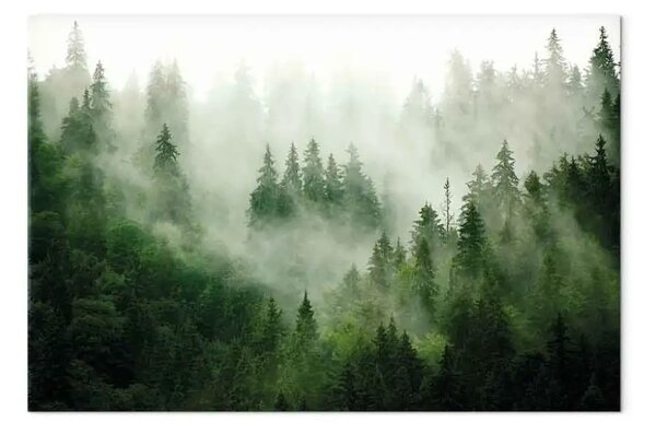 Quadro contemporaneo Foresta montagna - alberi nebbia