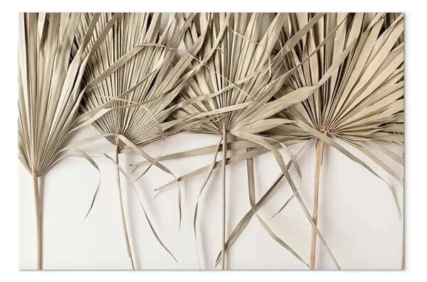 Quadro moderno Palma boho - composizione con foglie di palma secche su sfondo chiaro