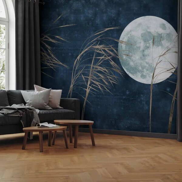 Carta da parati moderna Luna piena - erbe alte contro un cielo notturno blu scuro
