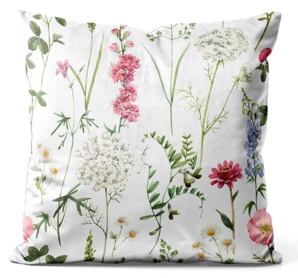 Cuscino in velluto Piante del prato - composizione colorata con flora senza pretese