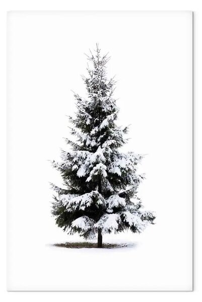 Quadro Albero d'inverno - abete rosso innevato