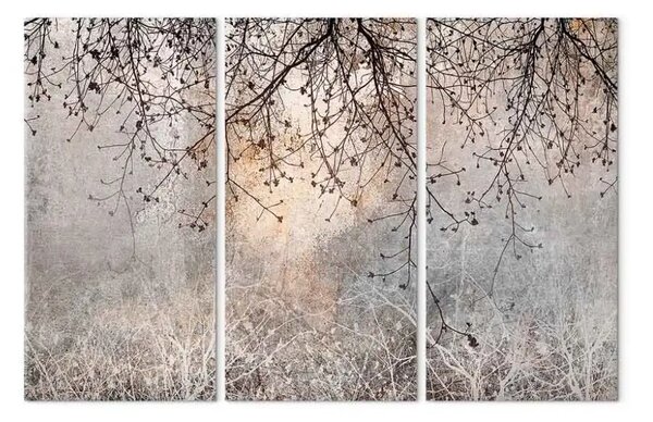 Quadro contemporaneo Mattina - alba su uno sfondo di rami delicati con fiori