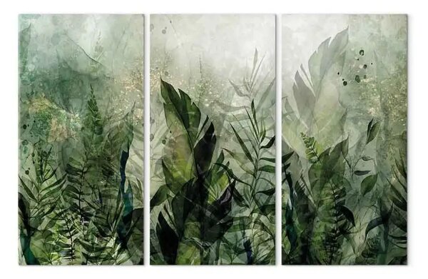 Quadro contemporaneo Piante tropicali - grandi foglie verdi con rugiada nebbiosa