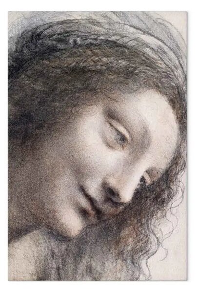 Quadro famoso Leonardo da Vinci - La Testa della Vergine