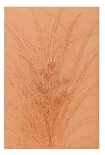 Quadro famoso Leonardo da Vinci - Canna ramificata