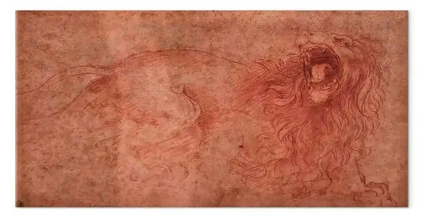 Quadro famoso Leonardo da Vinci - Schizzo di un leone