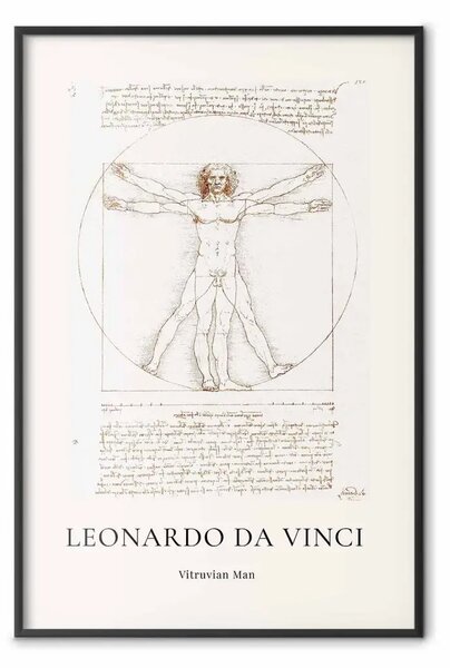 Poster: Leonardo da Vinci - Uomo Vitruviano