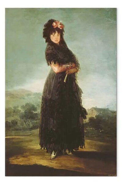 Riproduzione quadro Francisco Goya - Mariana Waldstein