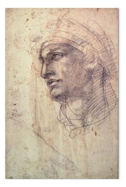 Quadro famoso Michelangelo - Studio di una testa