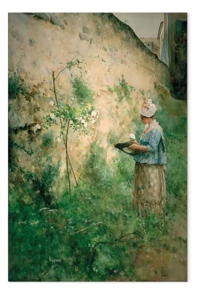 Quadro famoso Carl Larsson - Il vecchio muro