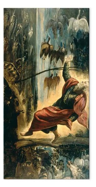 Riproduzione Tintoretto - Creazione degli animali