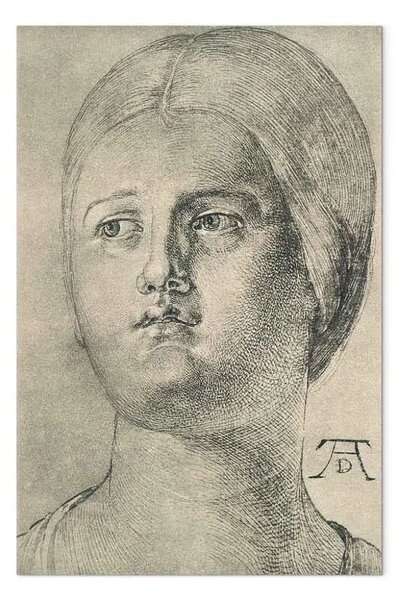 Riproduzione Albrecht Dürer - Testa di una donna