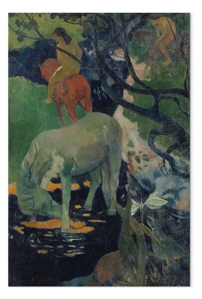 Riproduzione quadro Paul Gauguin - Il cavallo bianco