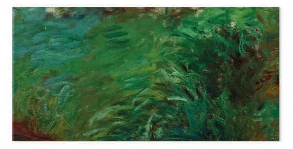 Riproduzione Claude Monet - Erbe acquatiche
