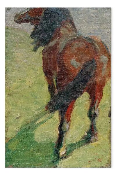 Riproduzione Franz Marc - Studio di un cavallo