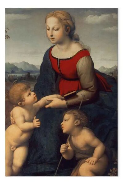 Riproduzione quadro Rafael Santi - La belle Jardiniere