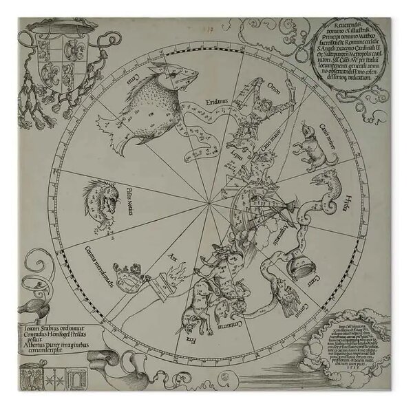 Riproduzione Albrecht Dürer - L'emisfero australe del globo celeste