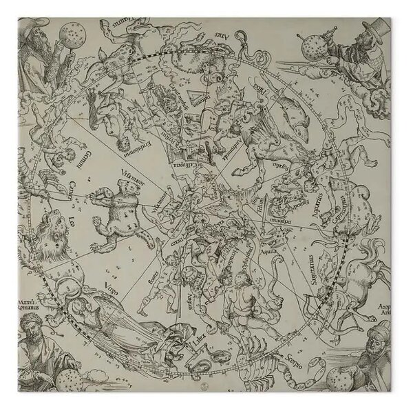 Riproduzione Albrecht Dürer - L'emisfero settentrionale del globo celeste