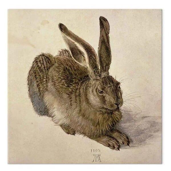 Riproduzione quadro Albrecht Dürer - Lepre