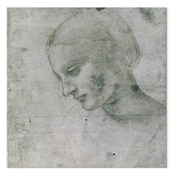 Riproduzione Leonardo da Vinci - Testa di giovane donna o testa di vergine