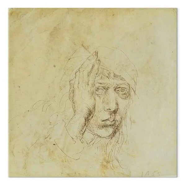 Riproduzione Albrecht Dürer - Autoritratto adolescente all'età di circa 20 anni