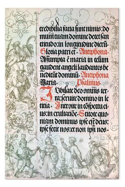 Riproduzione Albrecht Dürer - Dürer