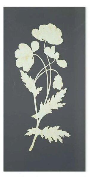 Quadro famoso Philipp Otto Runge - Fiore