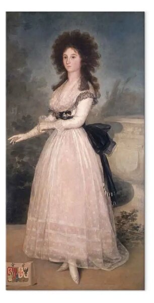 Quadro famoso Francisco Goya - Sig.ra Tadea Arias de Enriquez