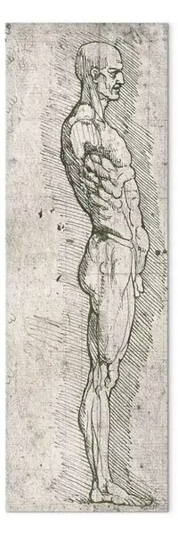 Quadro famoso Leonardo da Vinci - Studio anatomico (penna e inchiostro su carta)