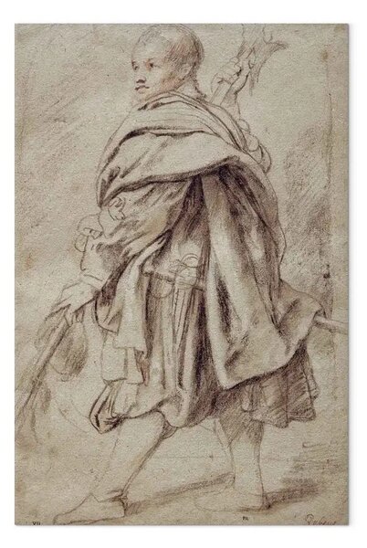 Riproduzione quadro Peter Paul Rubens - Studio di un alabardiere