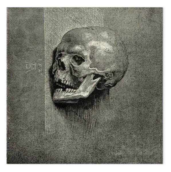 Riproduzione Albrecht Dürer - Cranio