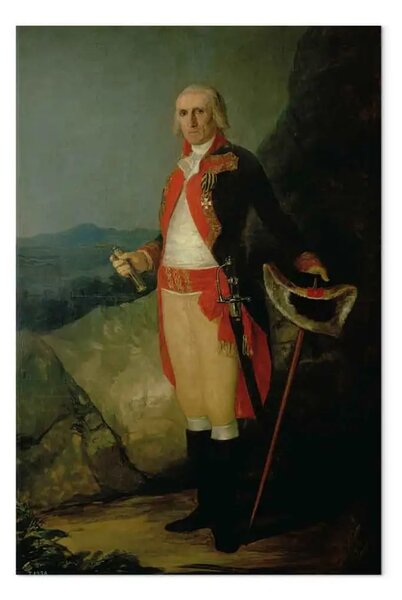 Riproduzione Francisco Goya - Generale José de Urrutia