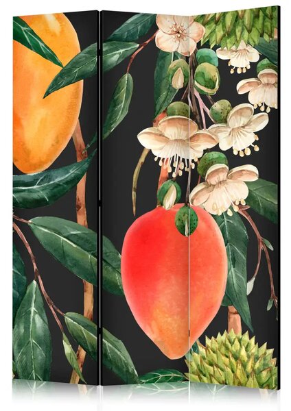 Paravento separè Frutti esotici - vegetazione tropicale colorata
