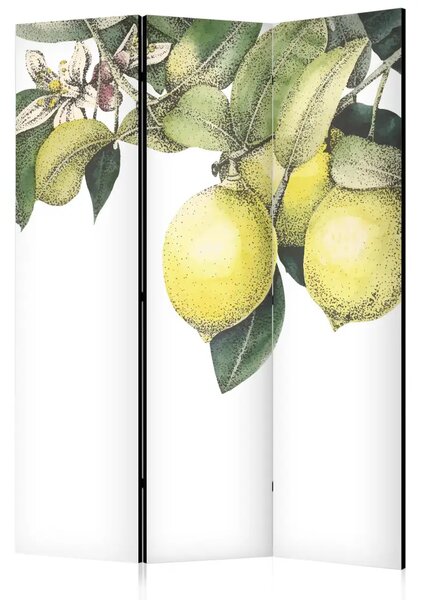 Paravento design Limoni e foglie - agrumi su un albero