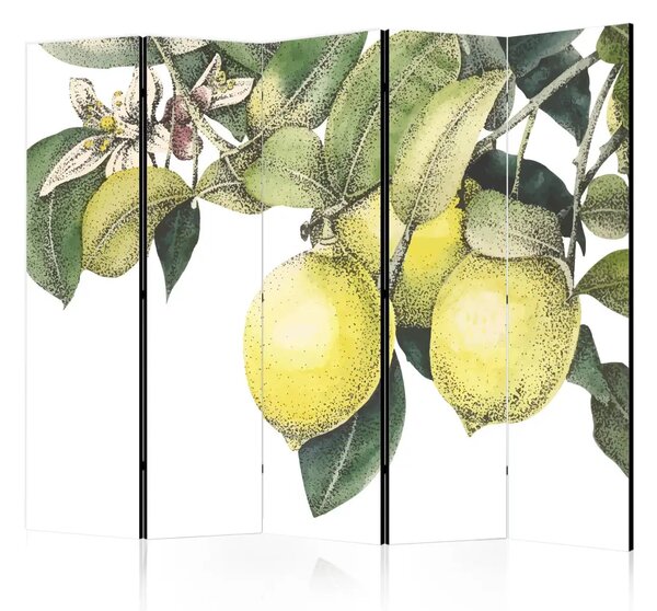 Paravento separè Limoni e foglie II - agrumi su un albero